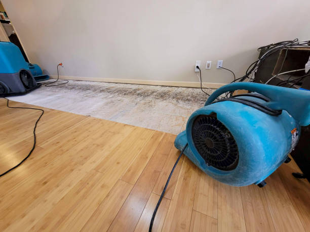 Professional Flood Damage Cleanup technician working in Omak, WA